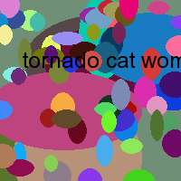 tornado cat woman