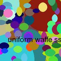 uniform waffe ss