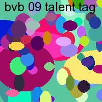 bvb 09 talent tag